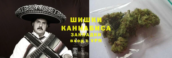 дживик Белокуриха
