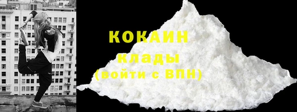 дурь Богородицк