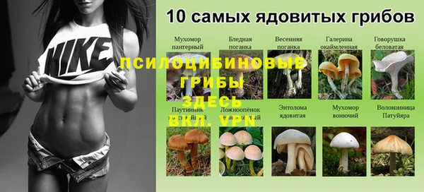 дурь Богородицк