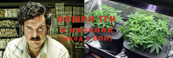 спайс Богданович