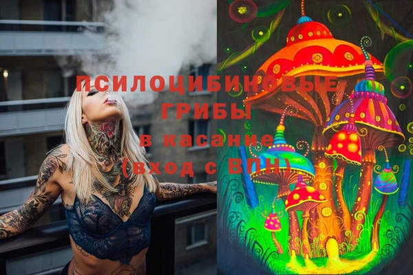 дживик Белокуриха