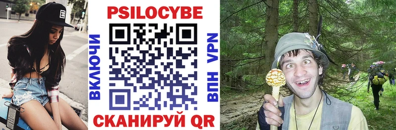 что такое наркотик  Бобров  Псилоцибиновые грибы Psilocybe 